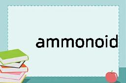 ammonoid是什么意思