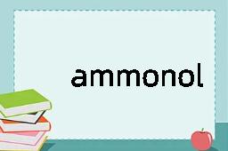 ammonolysis是什么意思