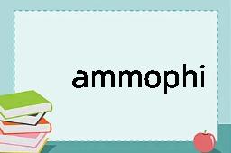 ammophilous是什么意思