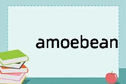 amoebean是什么意思