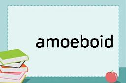 amoeboid是什么意思