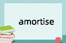 amortise是什么意思