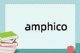 amphicoelian是什么意思