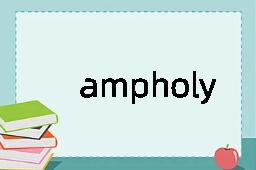 ampholyte是什么意思