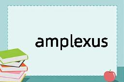 amplexus是什么意思