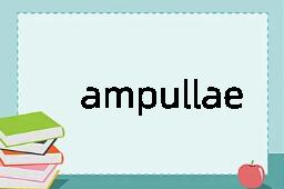 ampullae是什么意思