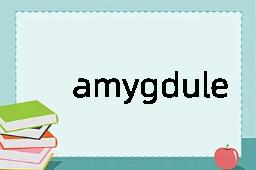 amygdule是什么意思