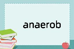 anaerobiosis是什么意思