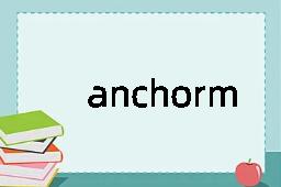 anchorman是什么意思