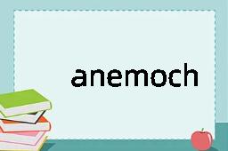 anemochore是什么意思