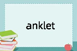 anklet是什么意思