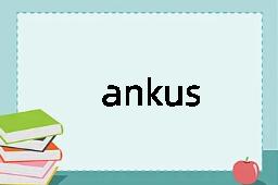 ankus是什么意思