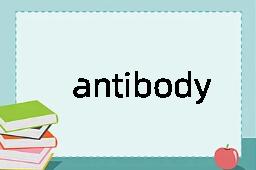 antibody是什么意思