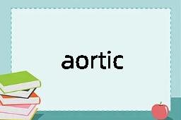 aortic是什么意思