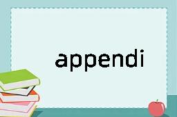 appendices是什么意思