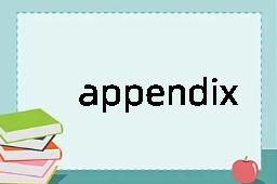 appendix是什么意思