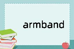 armband是什么意思