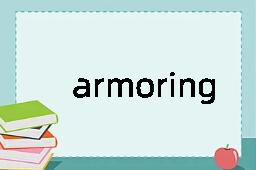 armoring是什么意思