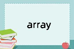 array是什么意思