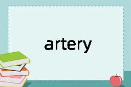 artery是什么意思