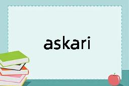 askari是什么意思