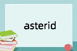 asterid是什么意思