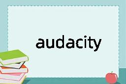 audacity是什么意思