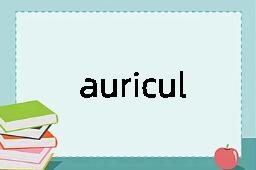 auriculoventricular是什么意思