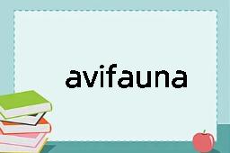 avifauna是什么意思