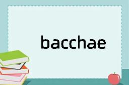 bacchae是什么意思