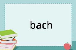 bach是什么意思