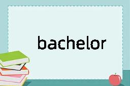bachelor是什么意思