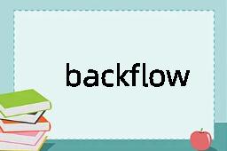 backflow是什么意思