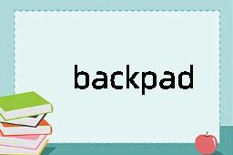 backpaddle是什么意思