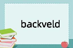 backveld是什么意思