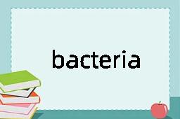 bacteria是什么意思