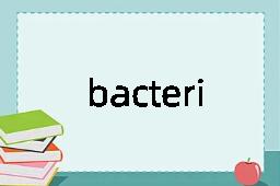 bacterial是什么意思