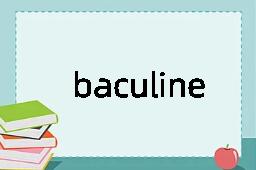 baculine是什么意思