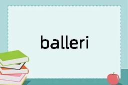 ballerine是什么意思