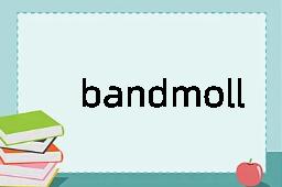 bandmoll是什么意思