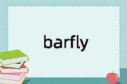 barfly是什么意思