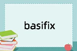 basifixed是什么意思