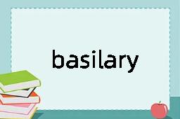 basilary是什么意思