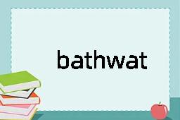 bathwater是什么意思