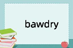 bawdry是什么意思