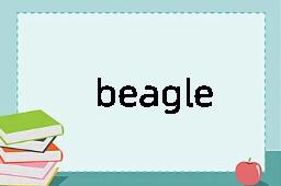 beagle是什么意思