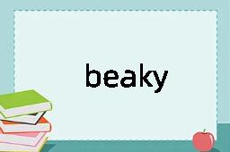 beaky是什么意思