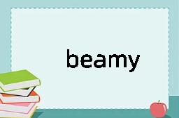 beamy是什么意思