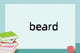 beard是什么意思