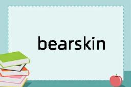 bearskin是什么意思